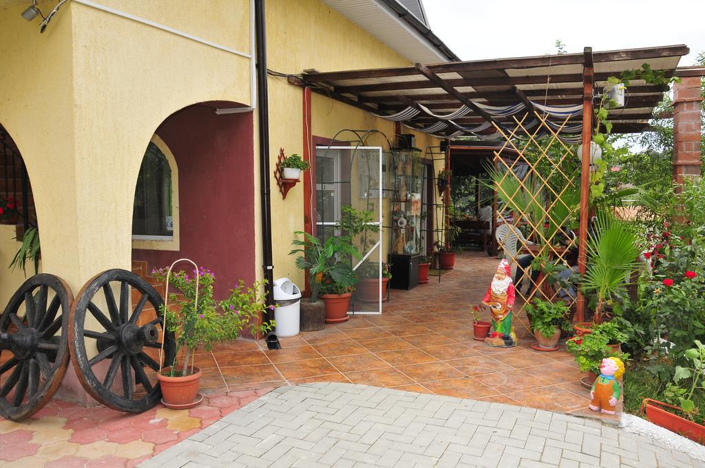 Pensiunea Delta D.M.Y. Mahmudia Exterior photo